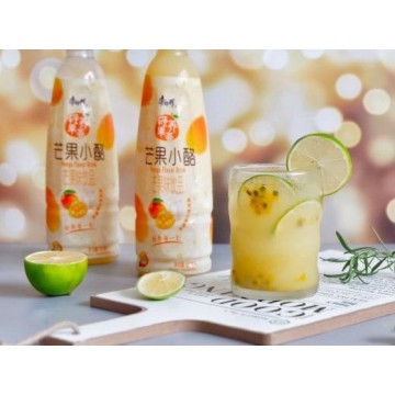 Kang Shi Fu Mango Yogurt Drink 500ml